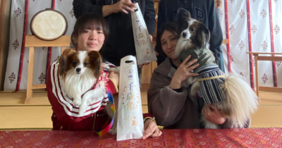 和室で座っている2人の女性が、それぞれ小型犬を抱き、千歳飴の袋を手に持っている様子。背景に太鼓と和風のカーテンが見える。