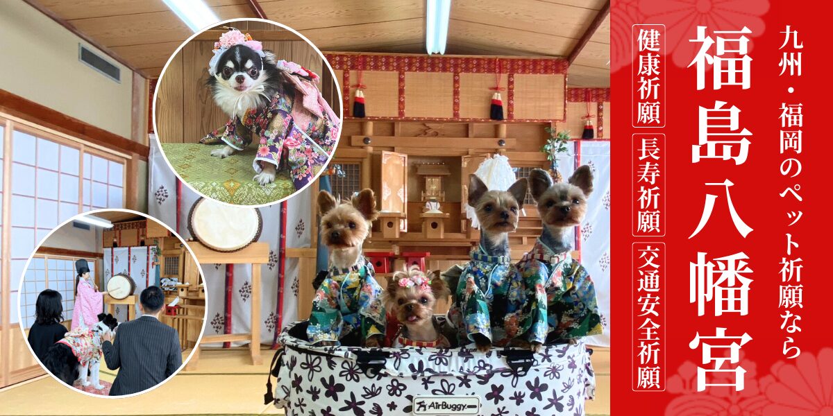 神社の中で和服を着た小型犬四匹がカートに乗っている様子と、小型犬が和服を着て座っているアップの写真、和服を着た犬と人間が神社でお祓いを受けている様子、そして福島八幡宮のペット祈願を宣伝する赤い背景の文字