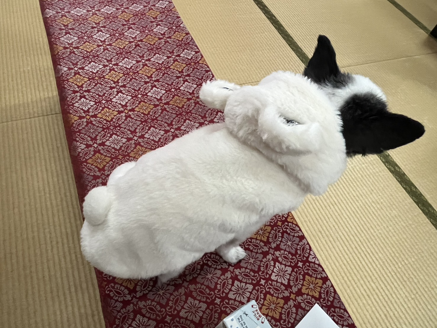 黒い耳と顔で白く全身がカットされたウサギのぬいぐるみ風の動物が畳の上の赤い敷物に座っている様子